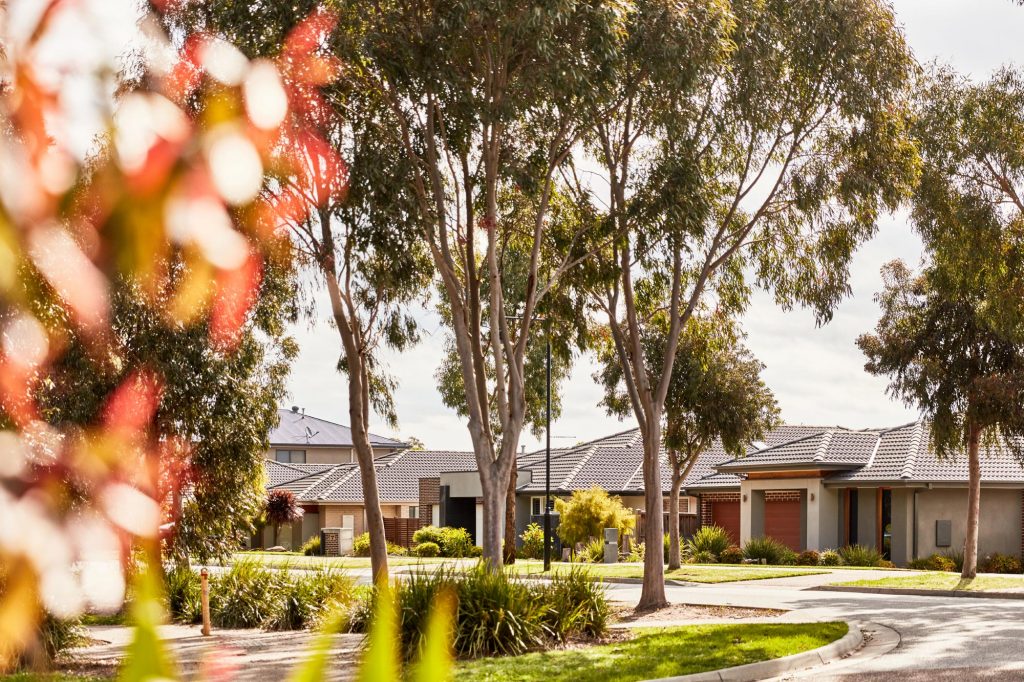 Botanic Ridge leafy streetscape